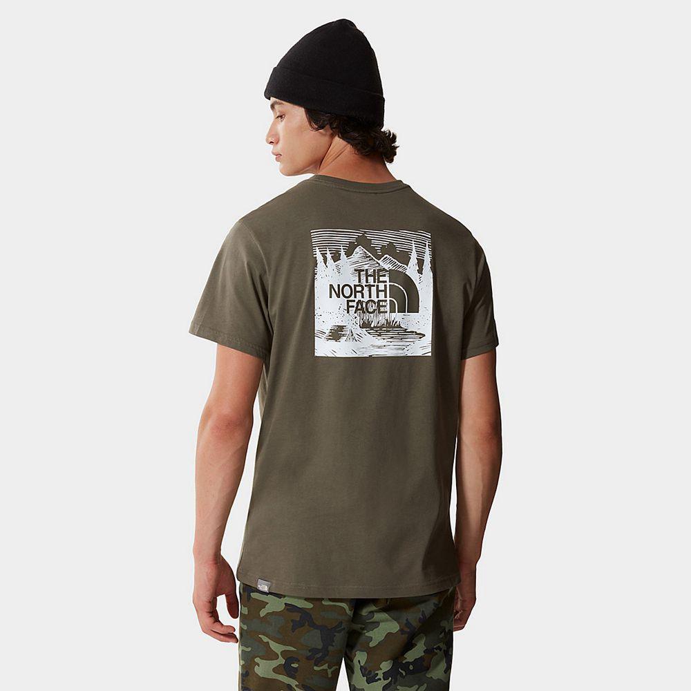 The North Face Redbox Celebration Ανδρικα T Shirt - Πρασινο / Ασπρα (SKTU38547)